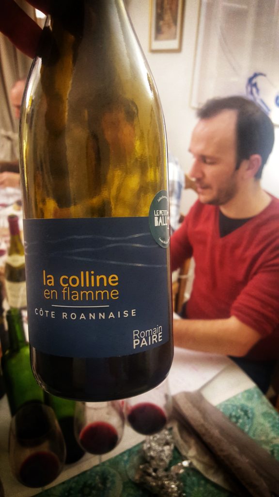 France, Loire, Côte Roannaise, Romain Paire (domaine des Pothiers), La colline en flamme 2018